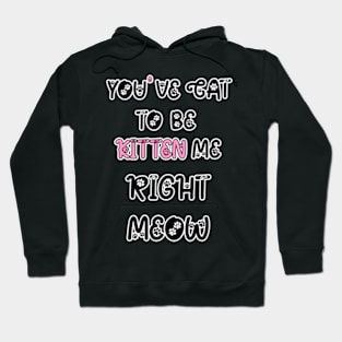 You Have Got To Be Kitten Me, For Cat Lovers, Cat Puns, Animal Puns Hoodie